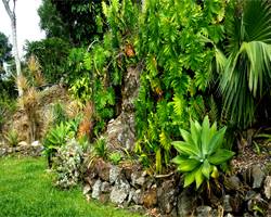 safari_gardens_projects_rainforest_wall_garden