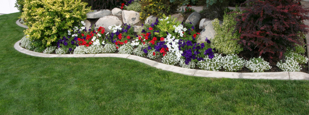 Paul, Landscaper, Garden bed