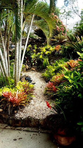 bromeliad_garden_path_stairs