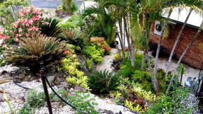 bromeliad_garden_path_top