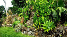 rainforest_wall_garden_middle